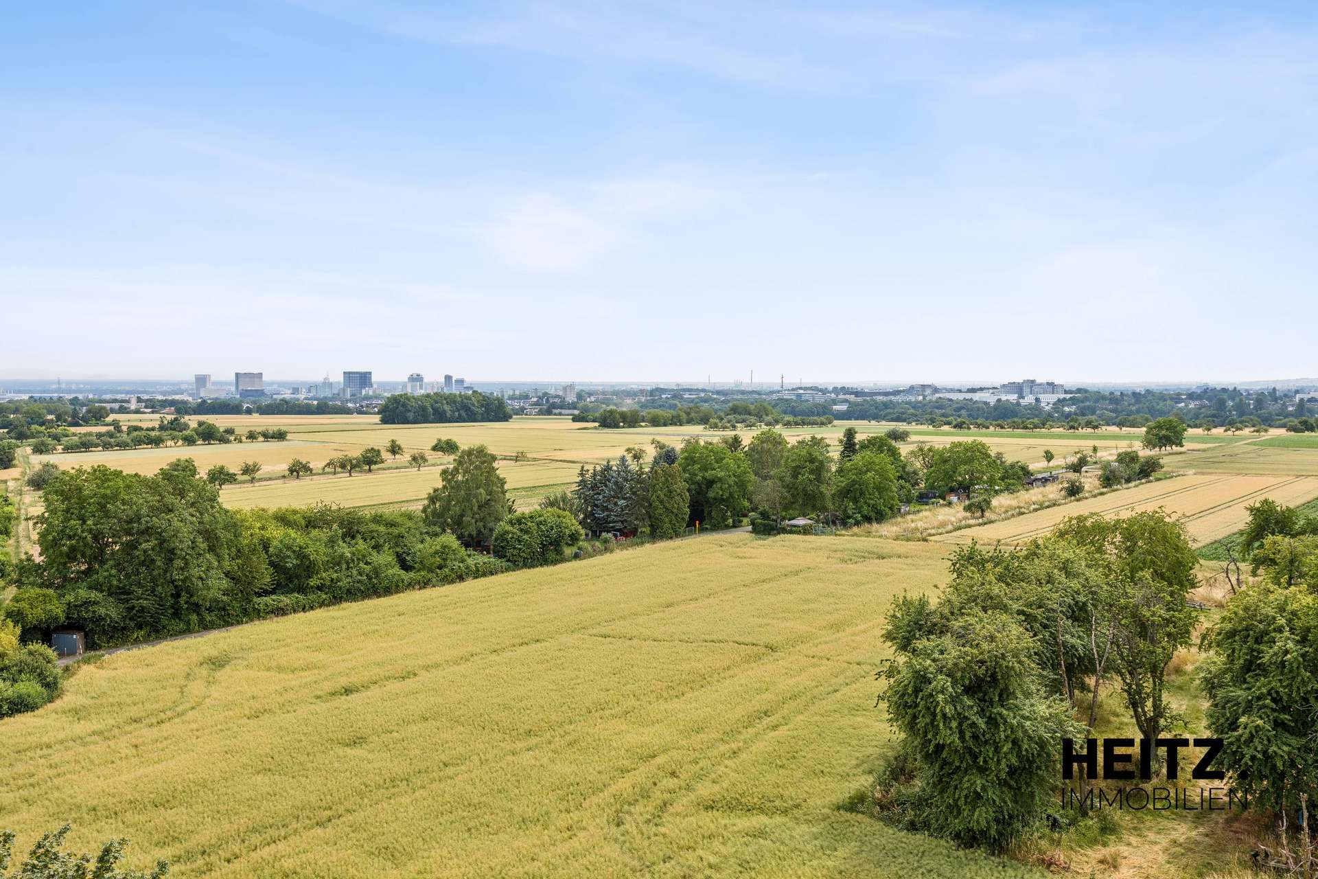 Unverbaubarer Ausblick auf die Frankfurter Skyline