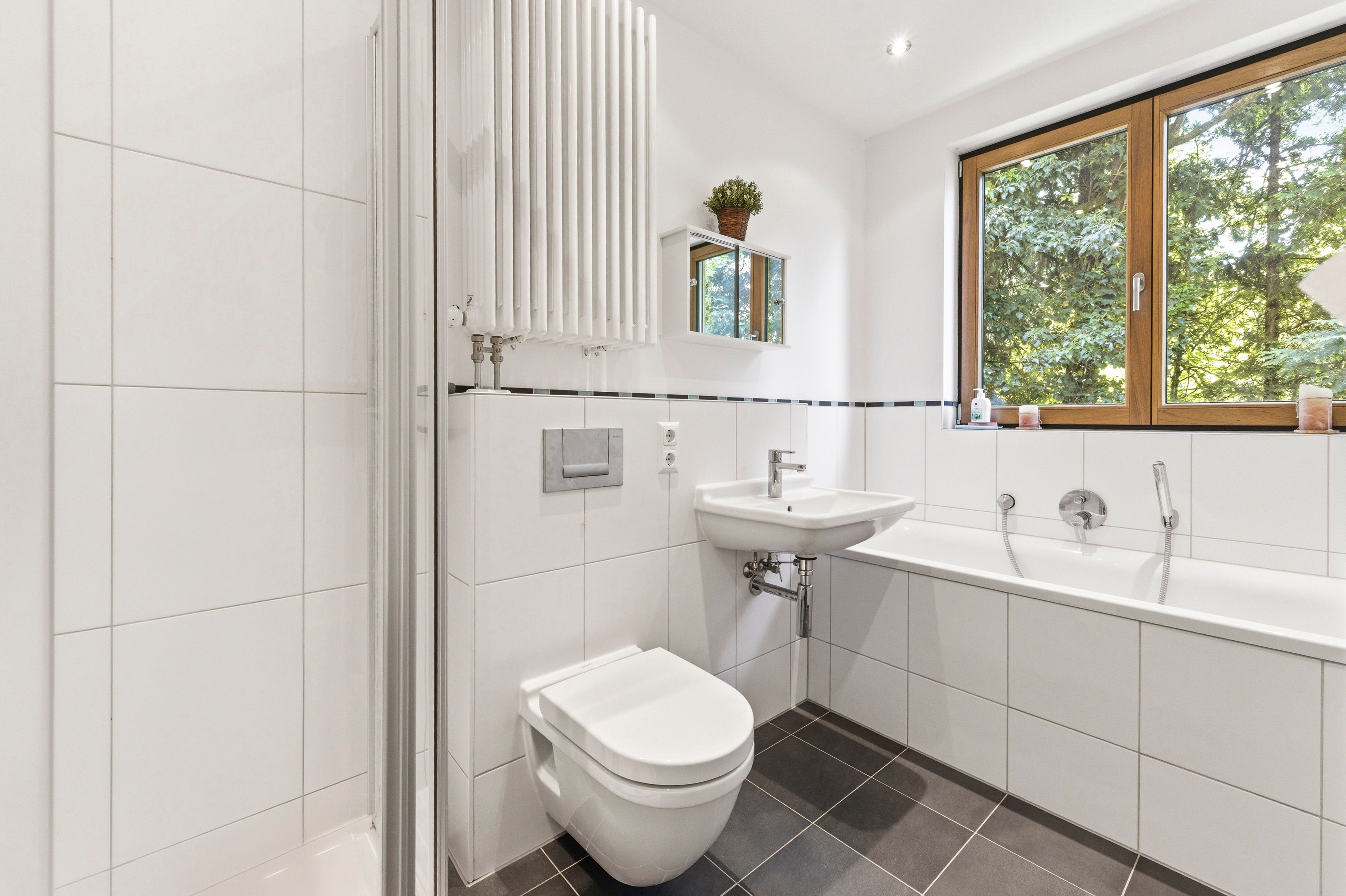 1 Bedroom Apartment/Flat's Image 4