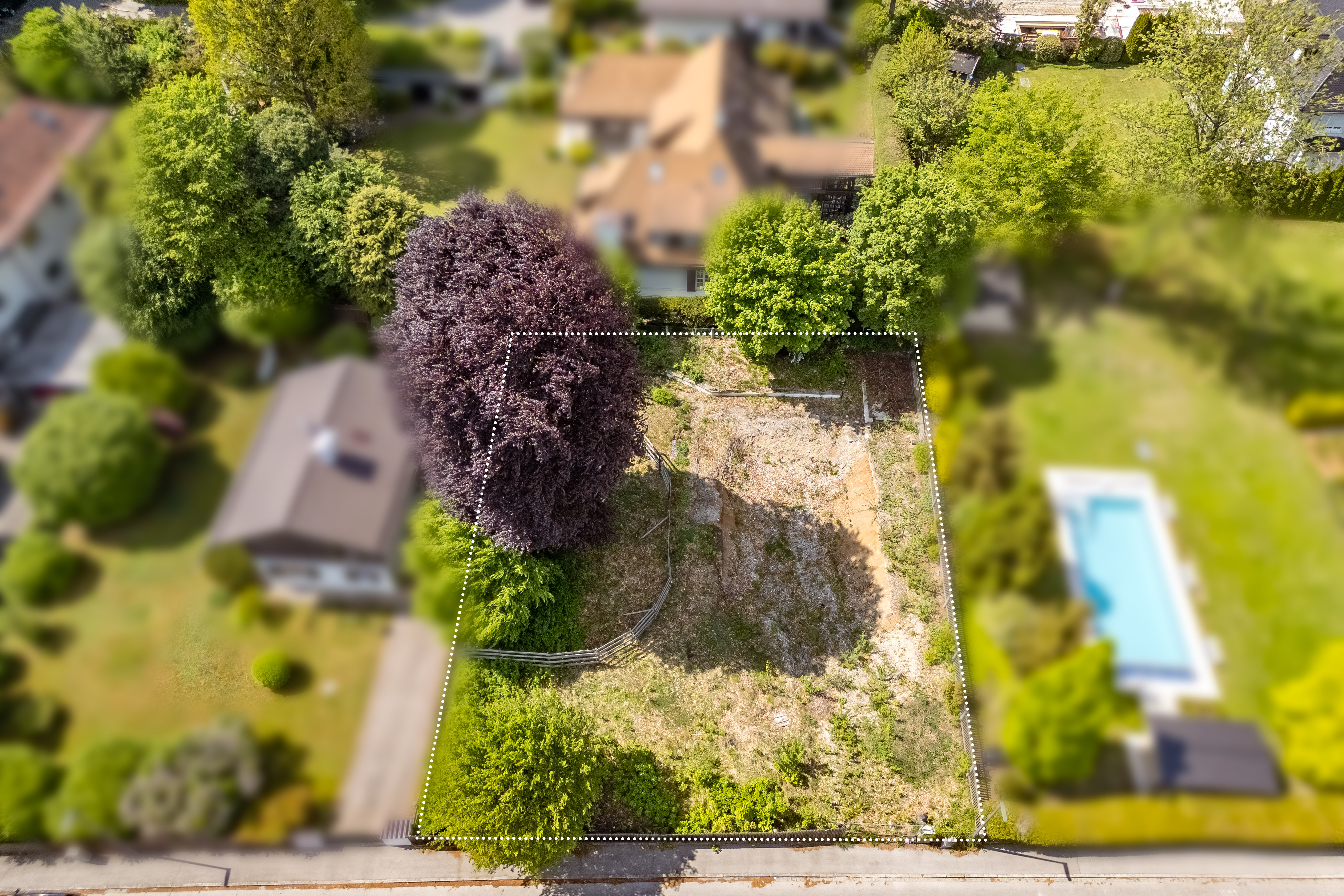 Single family home
