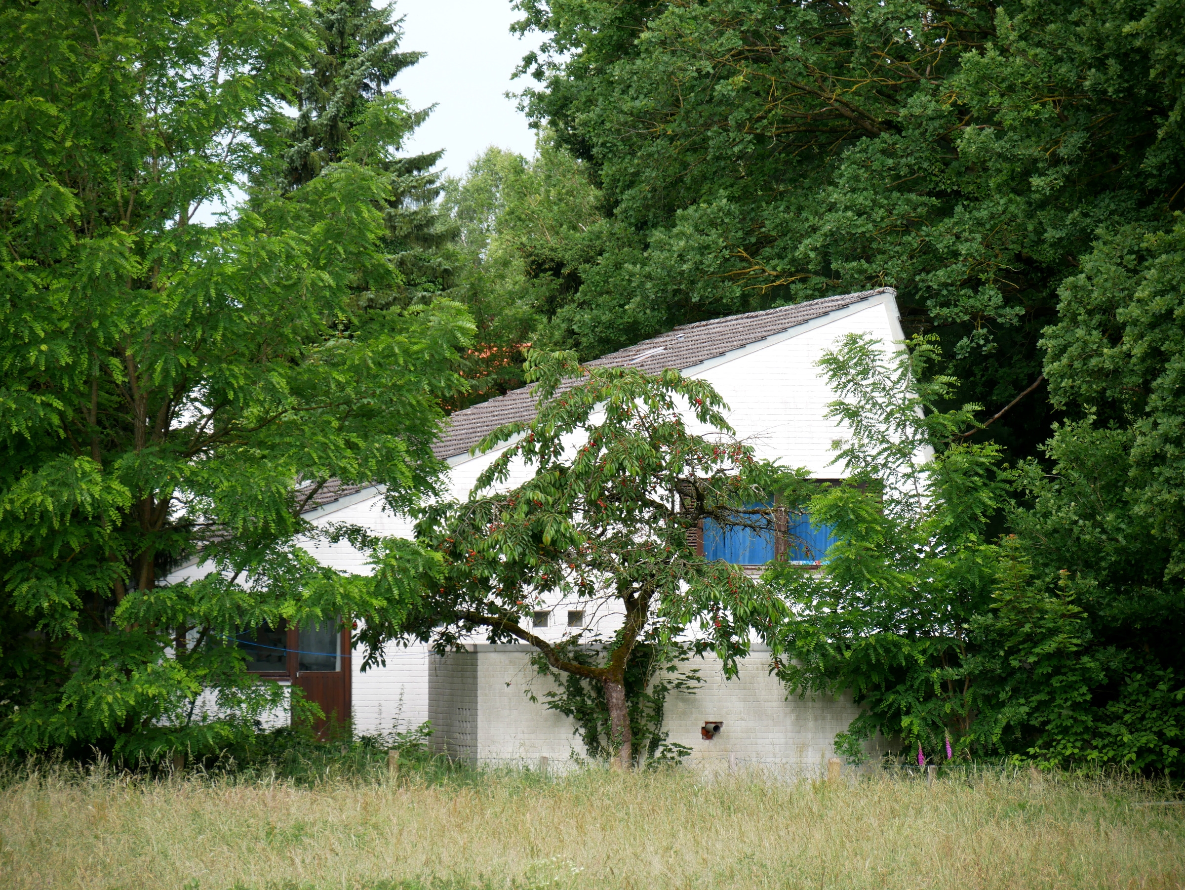 Architektenhaus auf außergewöhnlichem Grundstück – 1.604 m² mit unverbaubarem Weitblick