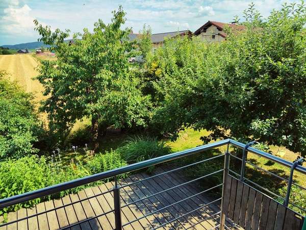 Blick in den Garten