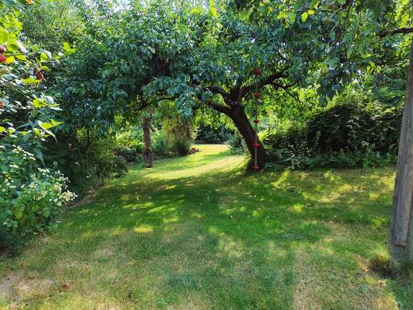 Garten 04