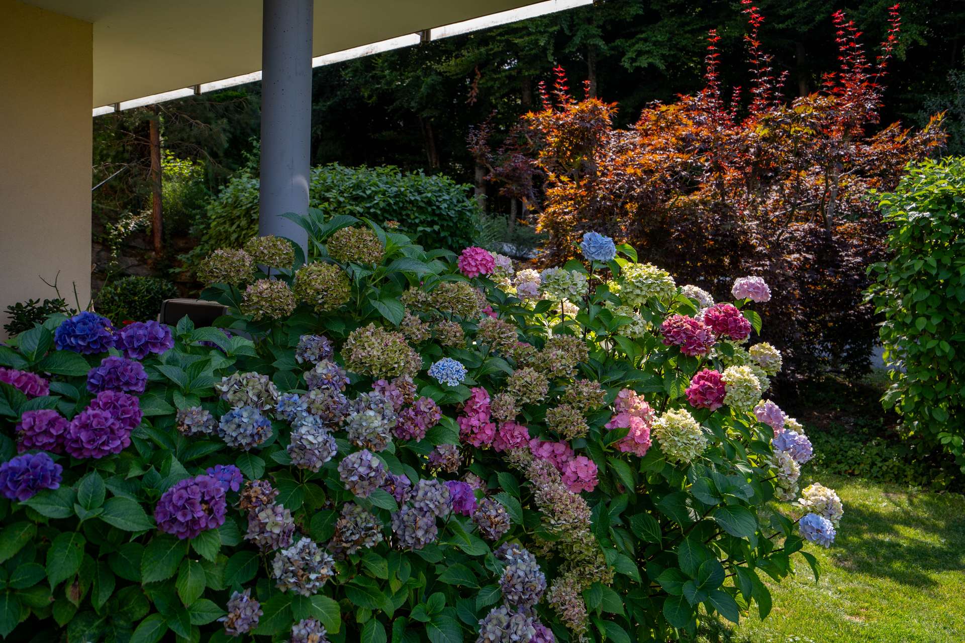 FREIZEITWOHNSITZ! 3-Zi-Gartenwohnung mit Seezugang in Velden am Wörthersee — Bild 12