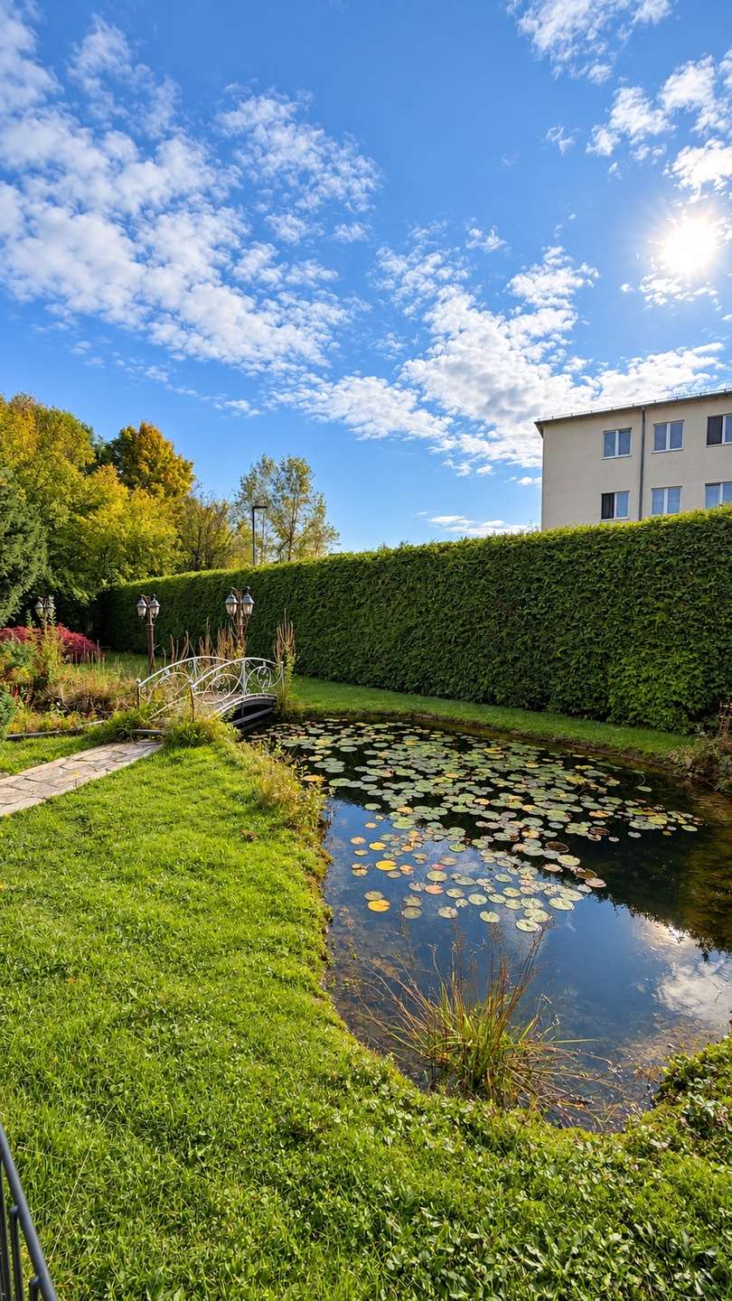 Gemeinschaftsgarten Teich