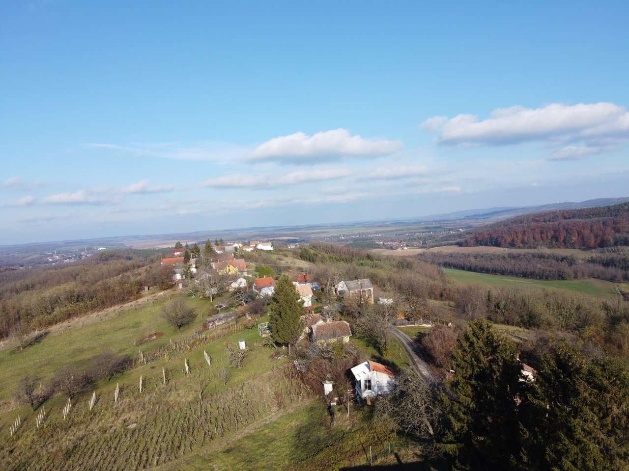 [object Object] - image