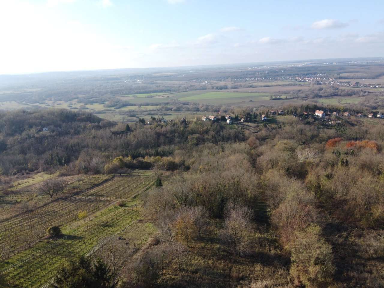 [object Object] - image