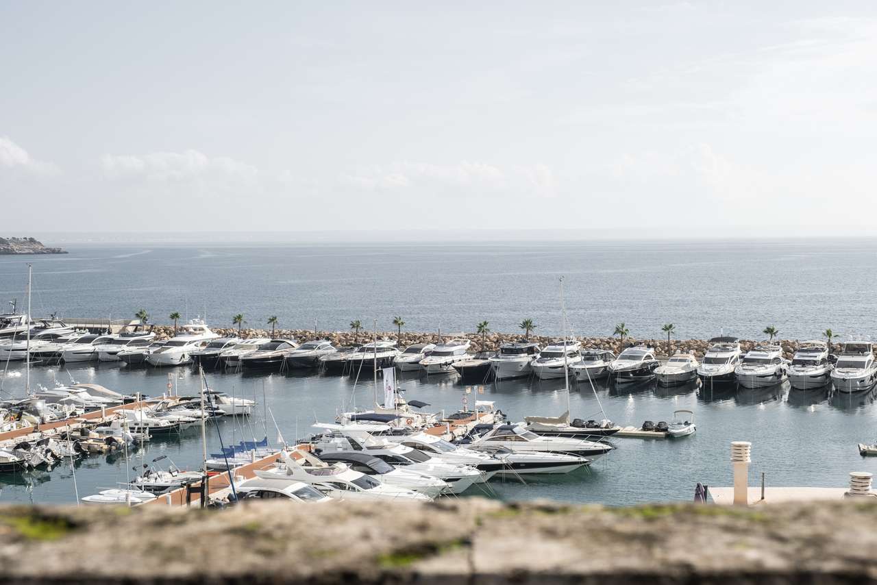 [object Object] - image