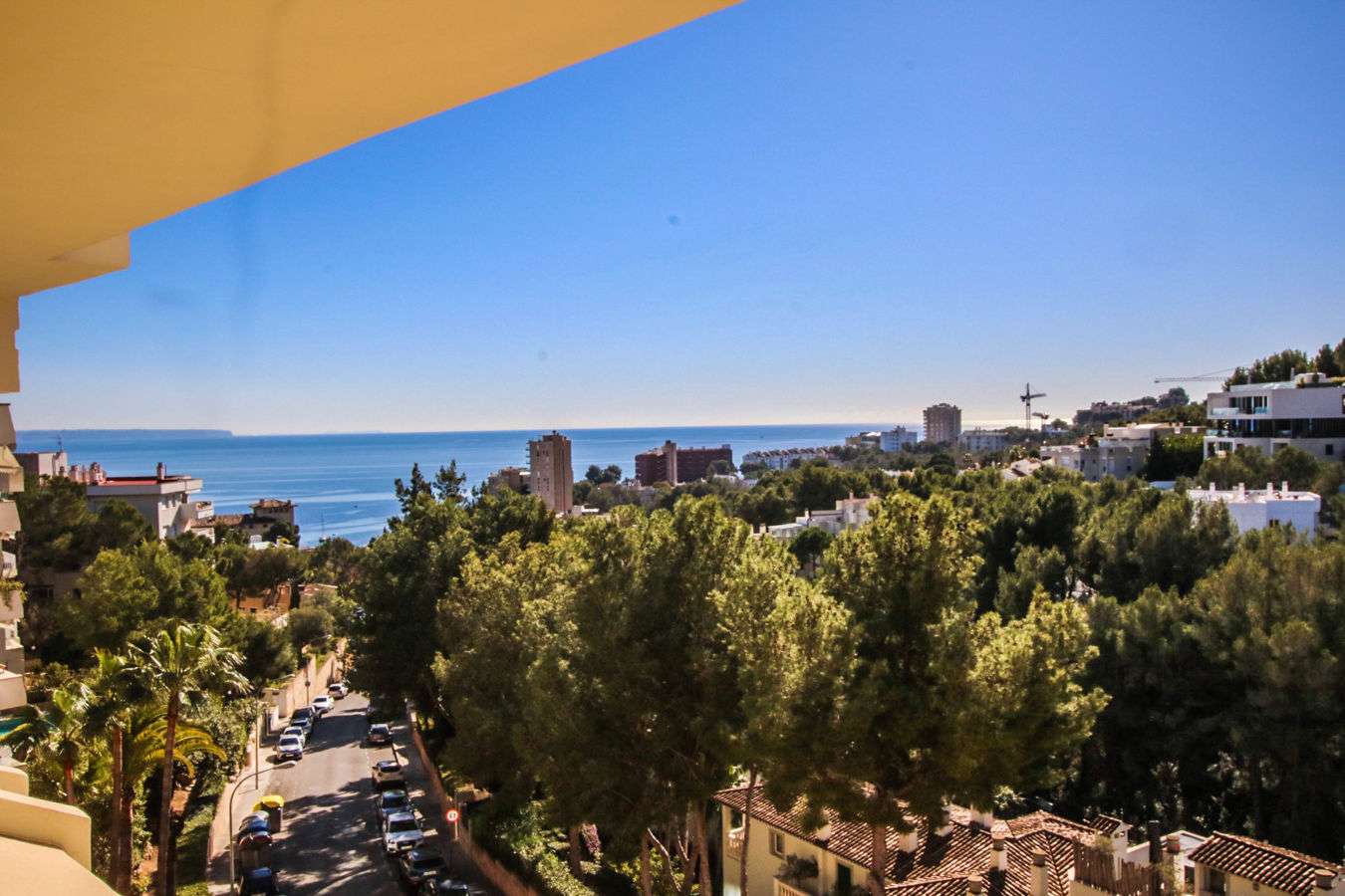 [object Object] - image