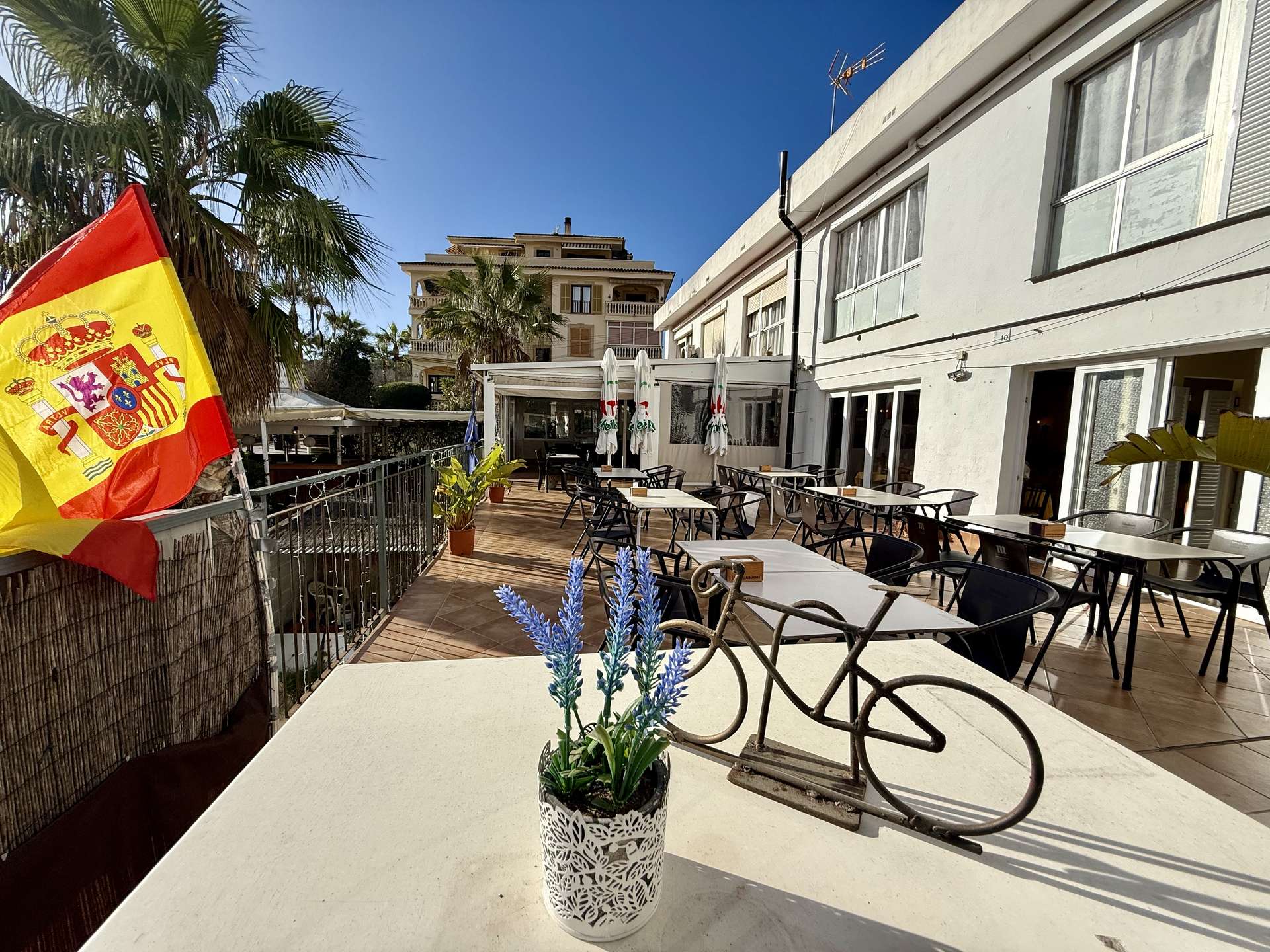 [object Object] - image