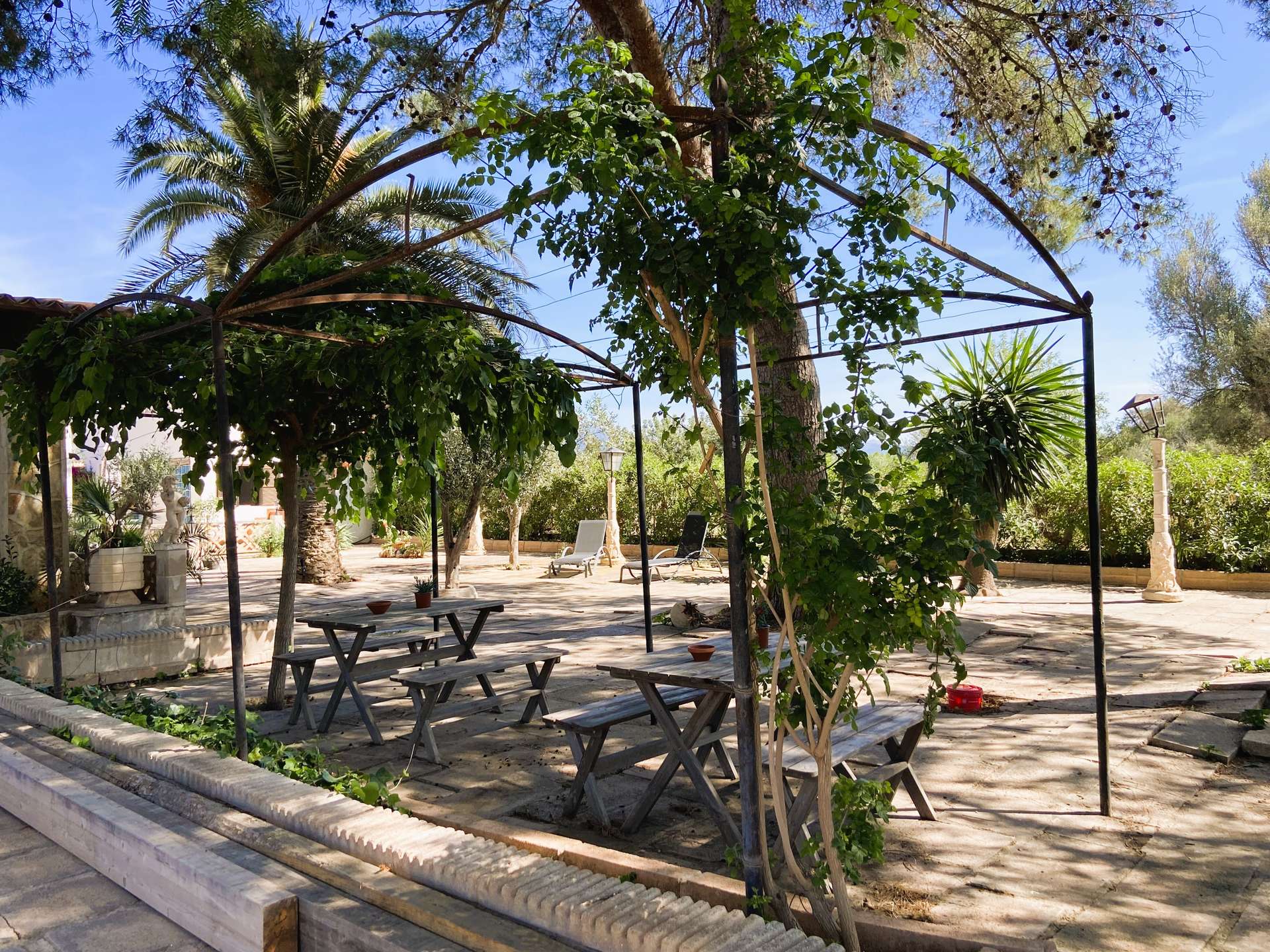 [object Object] - image