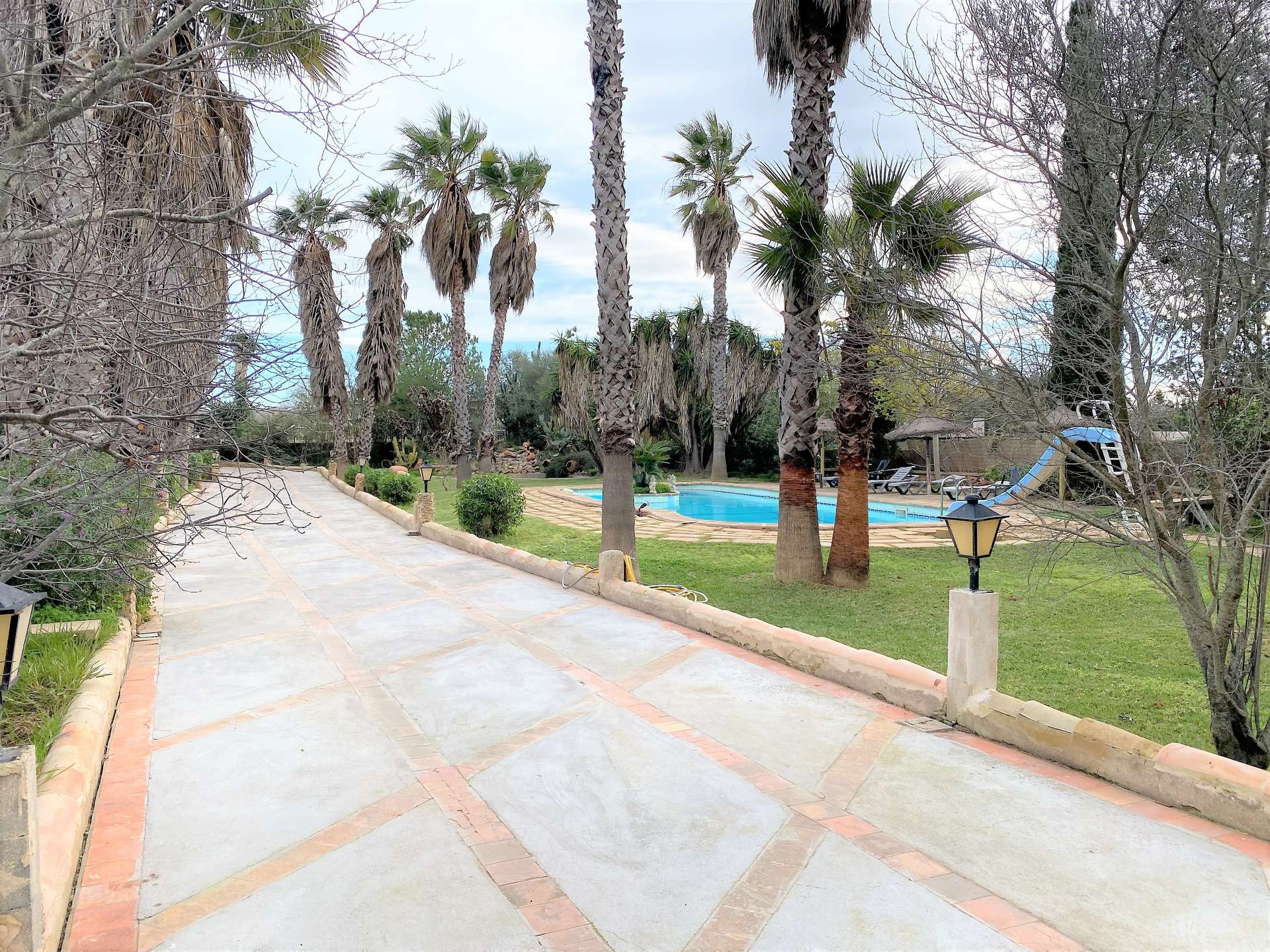 [object Object] - image