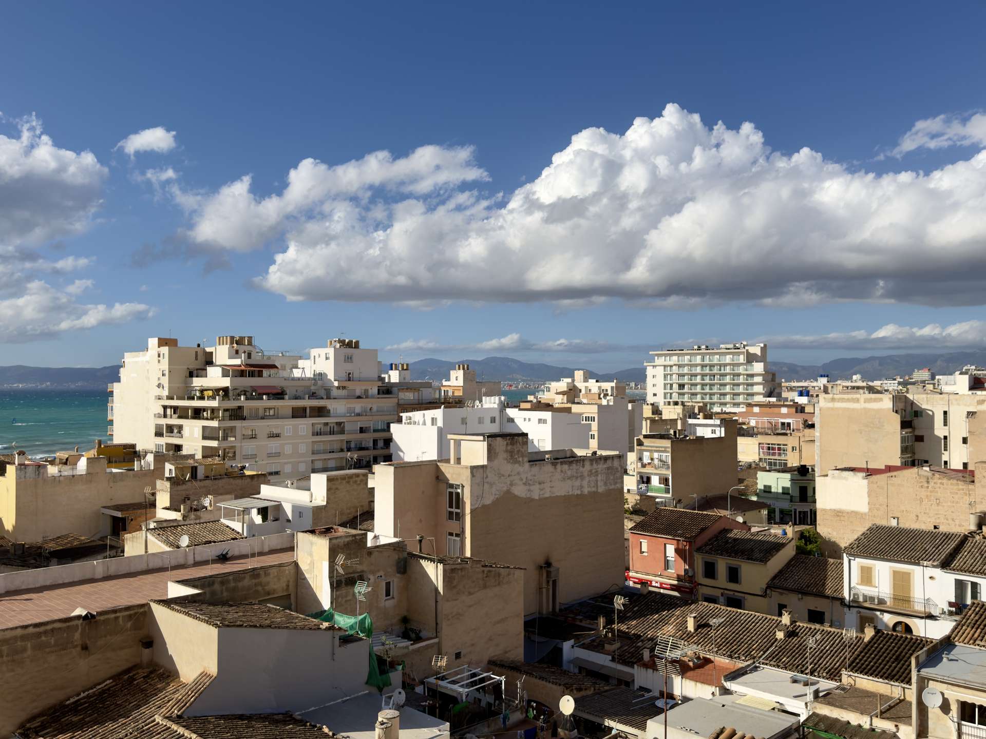 [object Object] - image