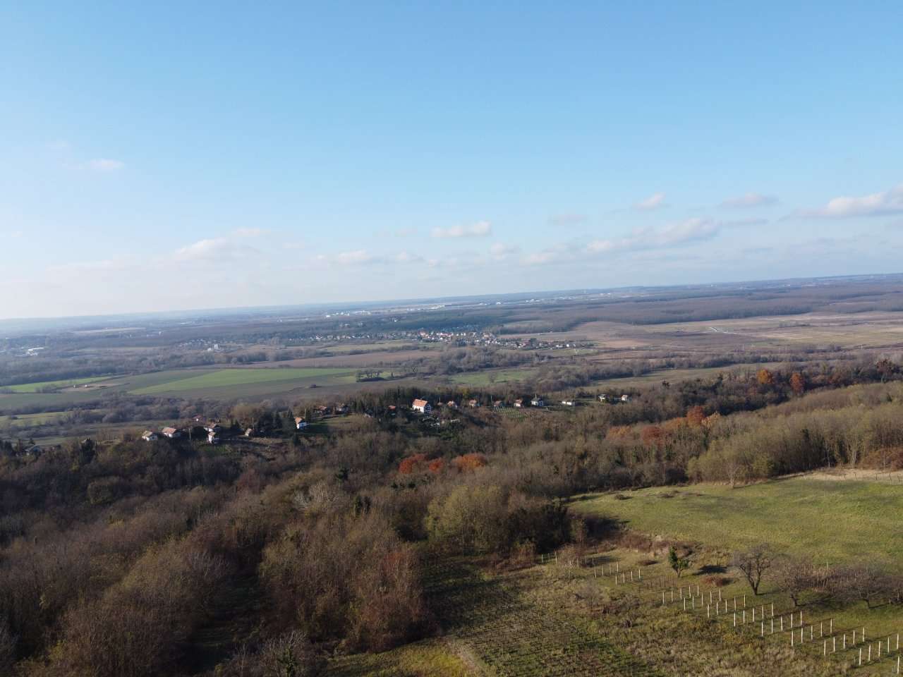 [object Object] - image