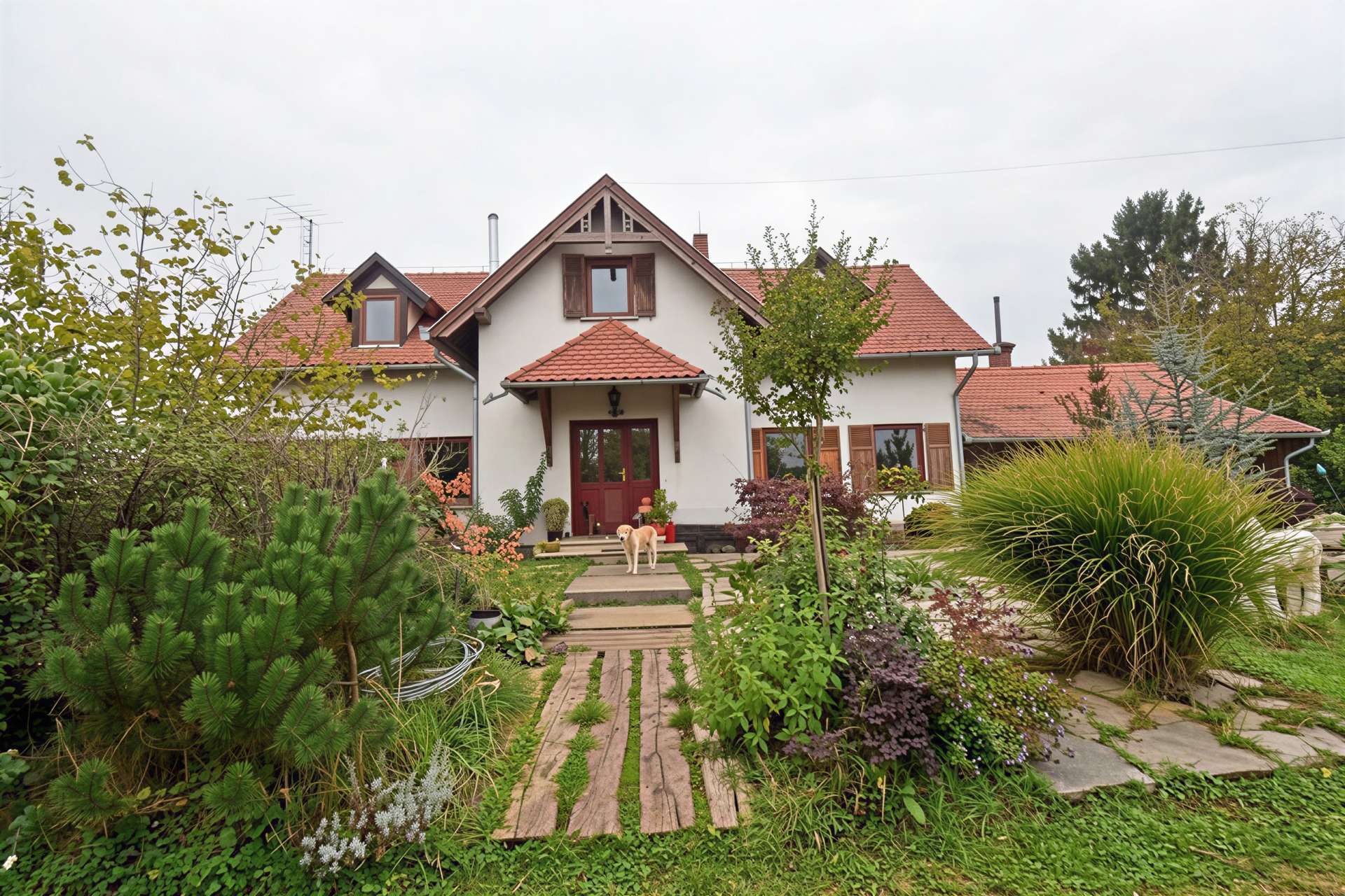 [object Object] - image