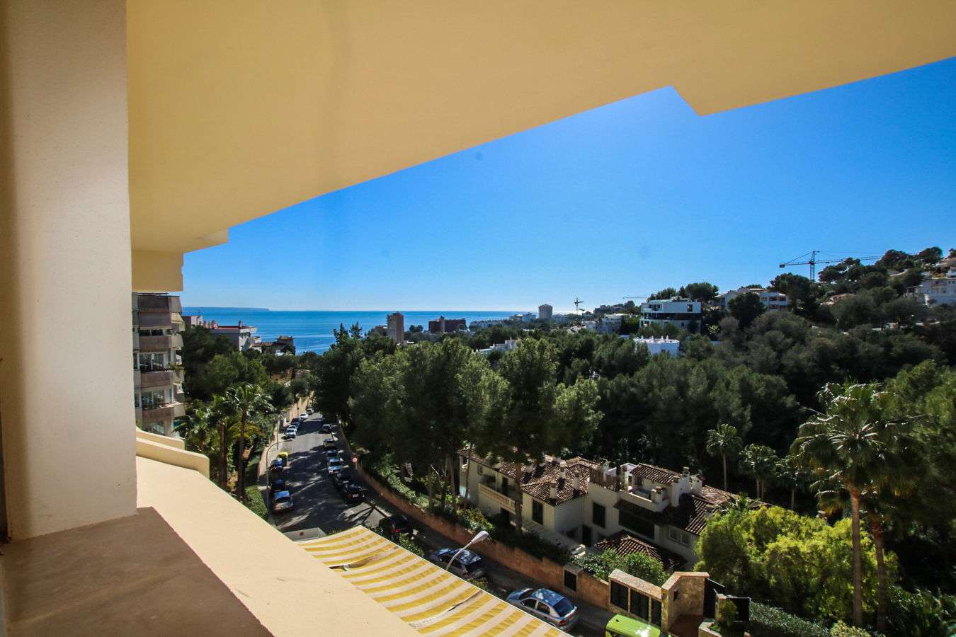 [object Object] - image