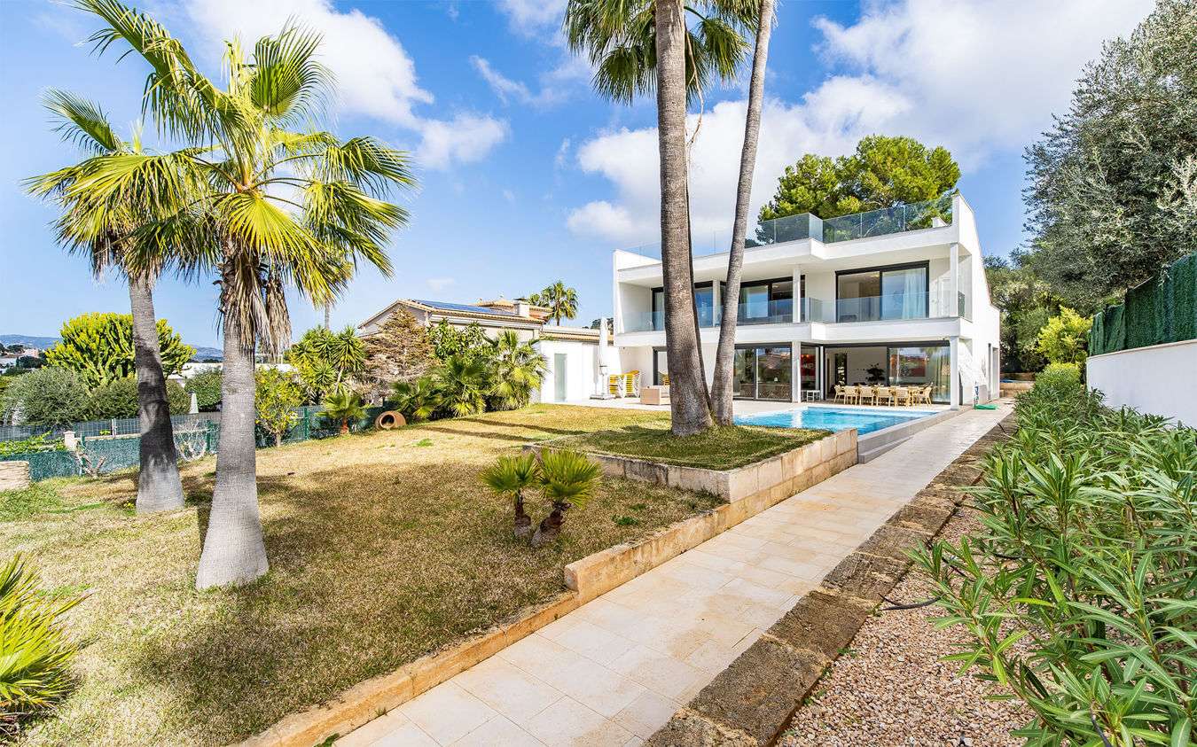 [object Object] - image