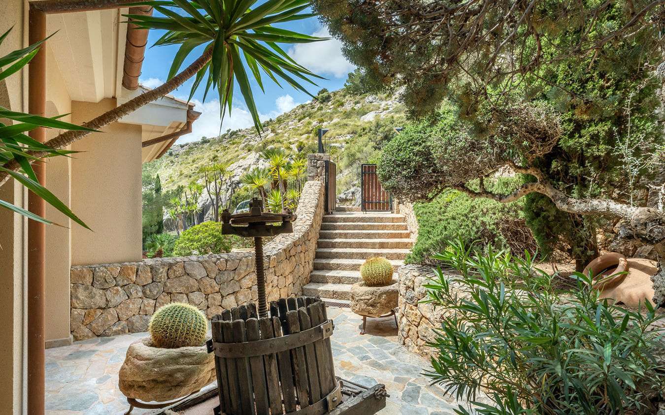 [object Object] - image