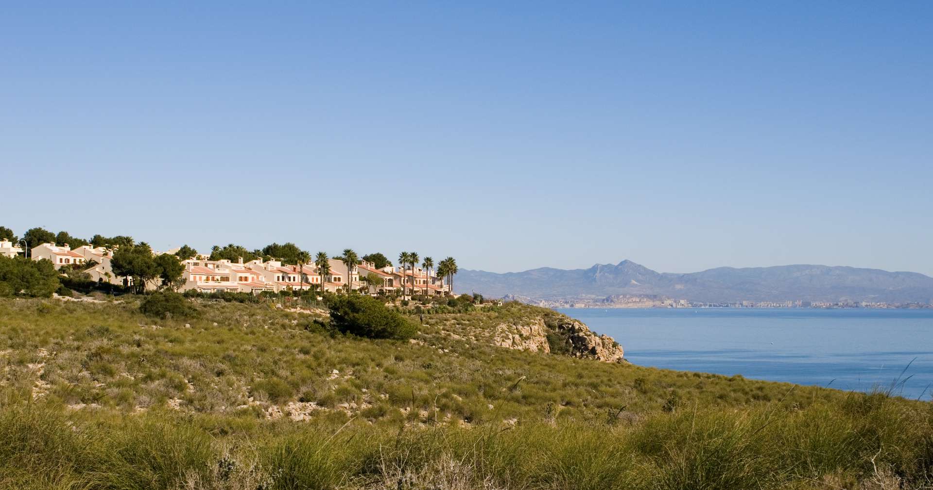 [object Object] - image