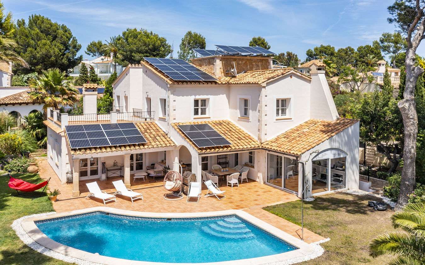 [object Object] - image