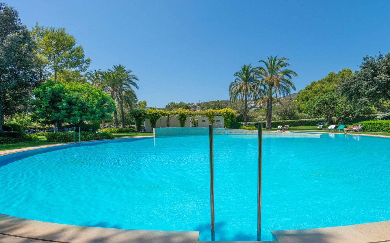 [object Object] - image