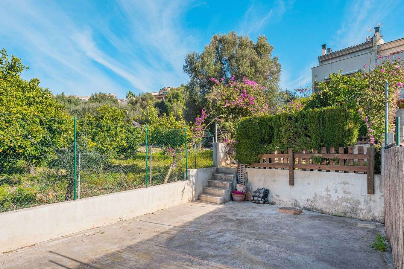 [object Object] - image