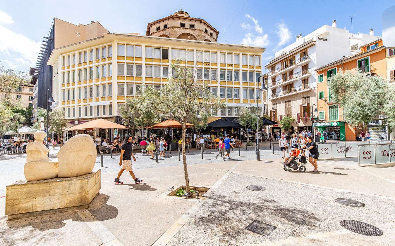 [object Object] - image