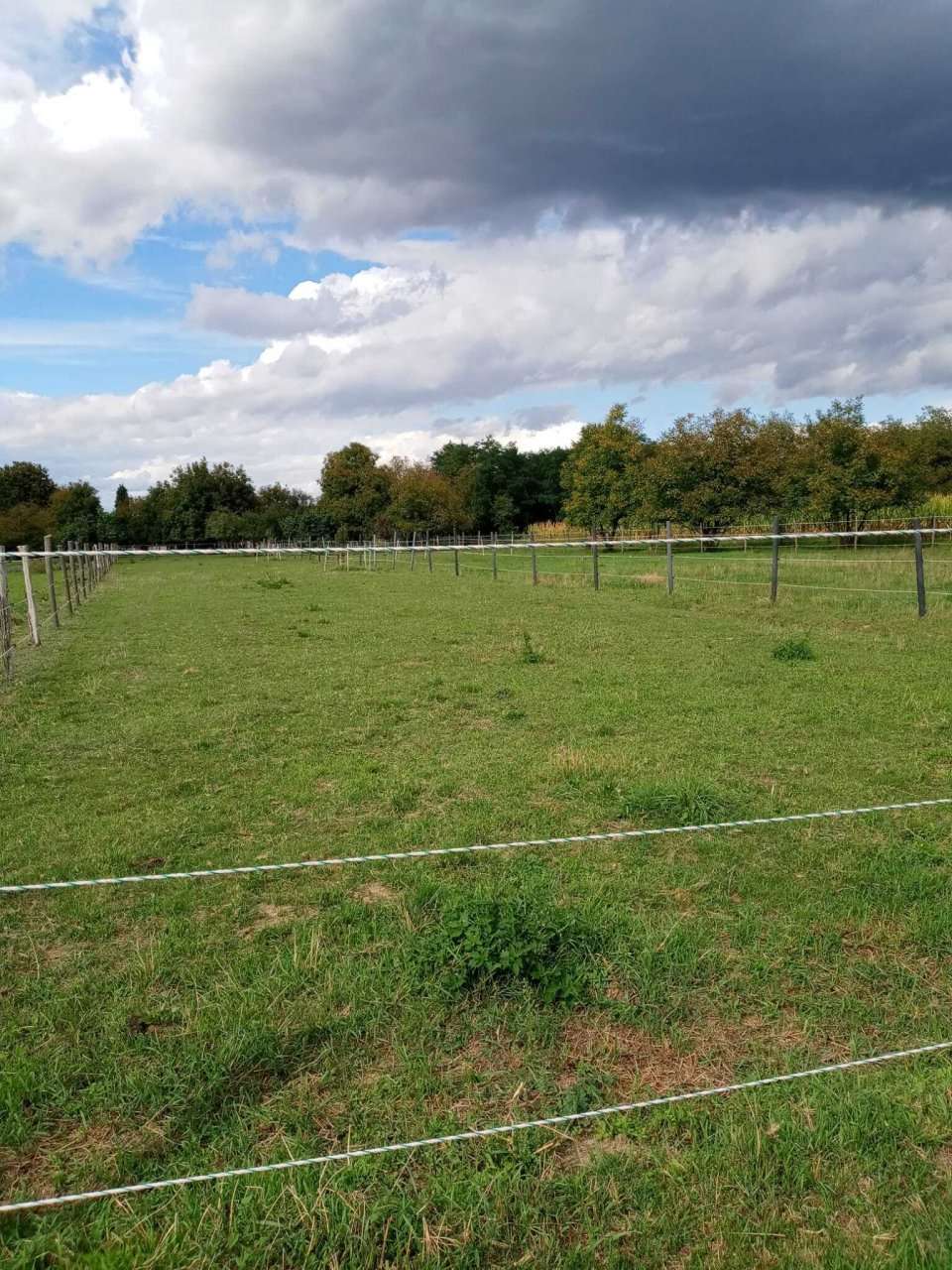 [object Object] - image