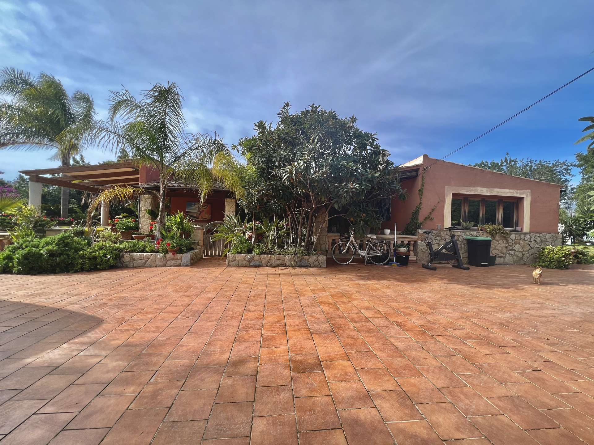 [object Object] - image