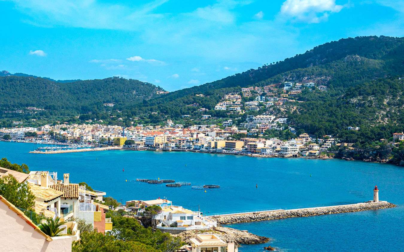 [object Object] - image