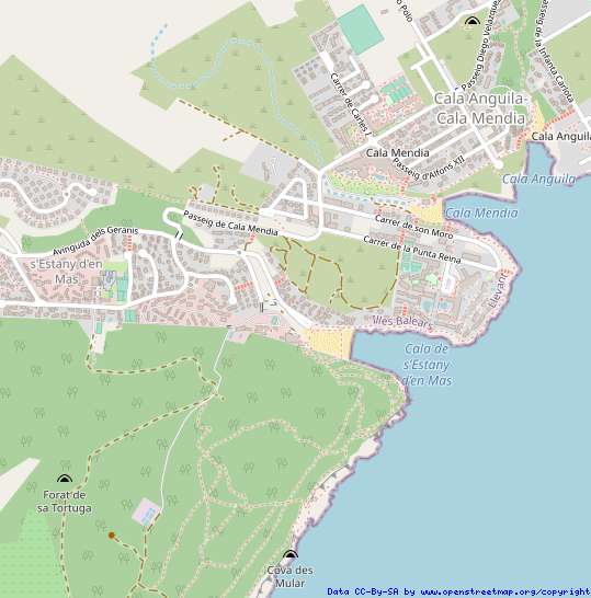 [object Object] - image