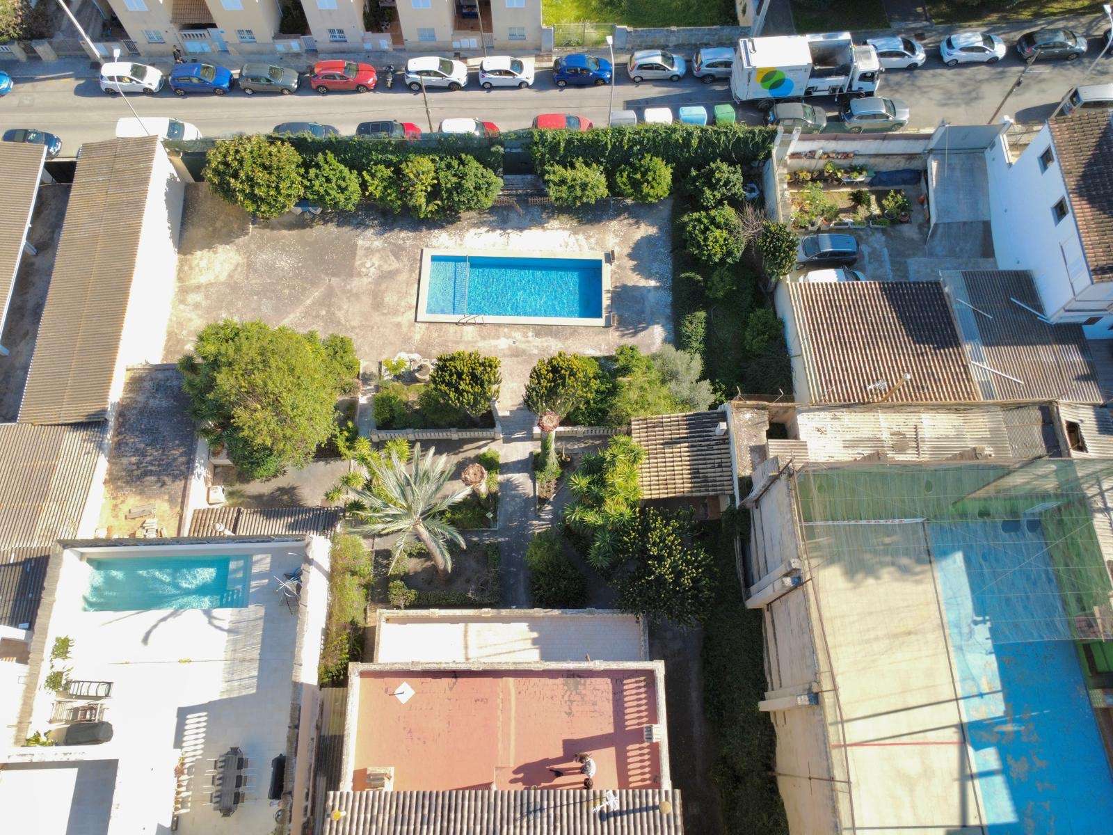 [object Object] - image