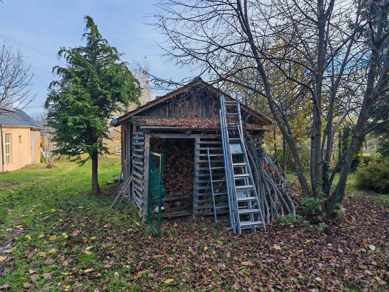 [object Object] - image