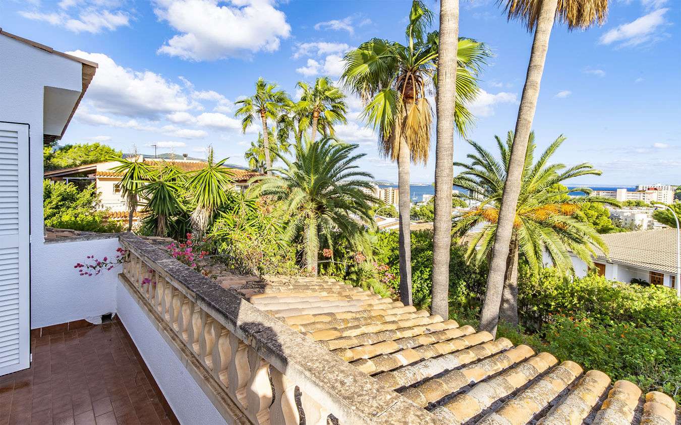 [object Object] - image