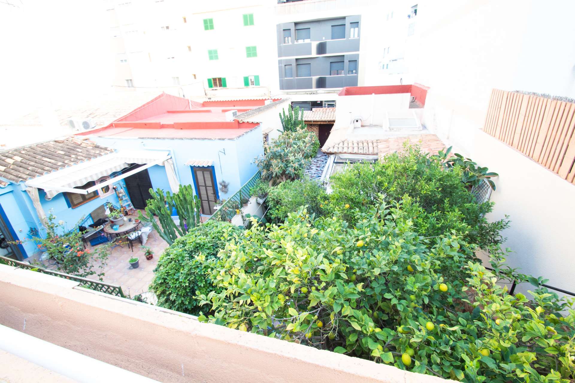 [object Object] - image