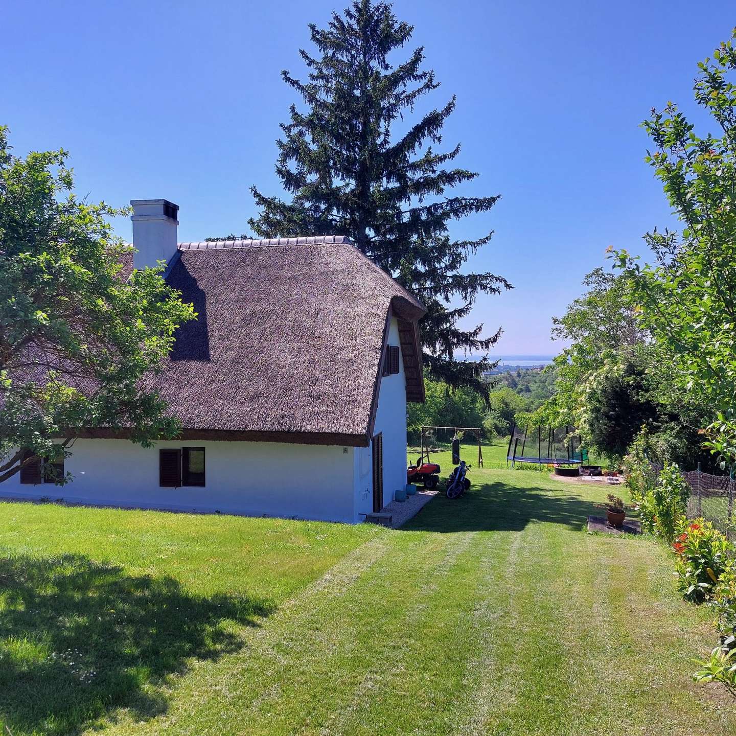 [object Object] - image