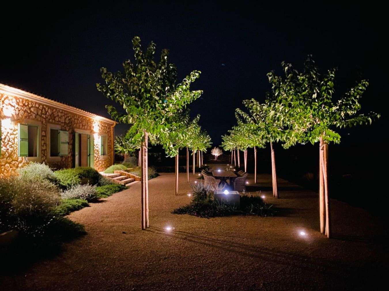 [object Object] - image