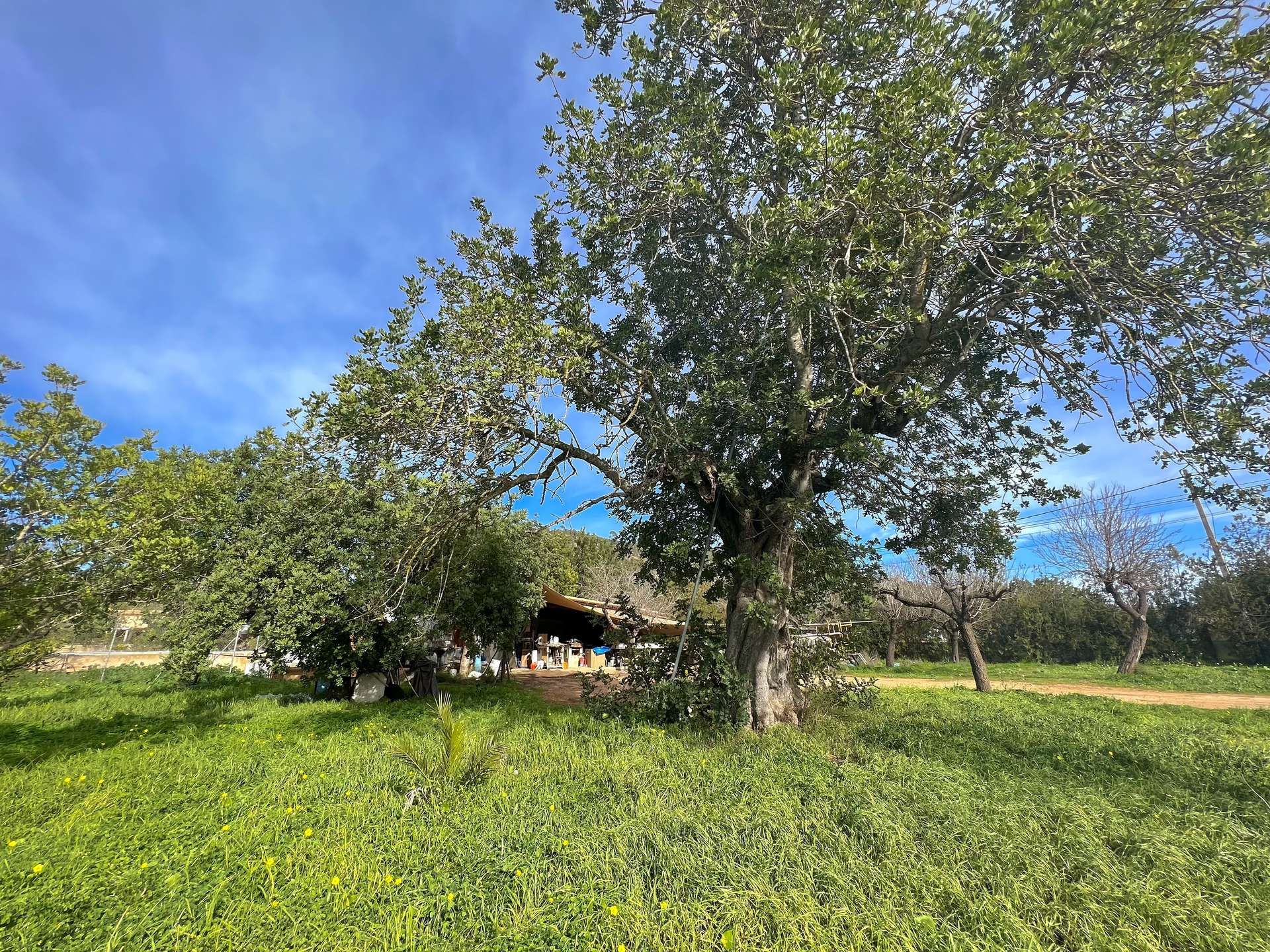 [object Object] - image