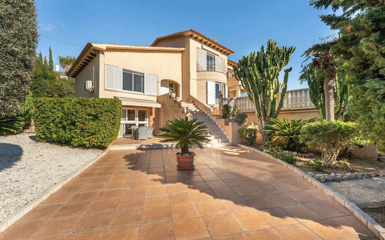 [object Object] - image