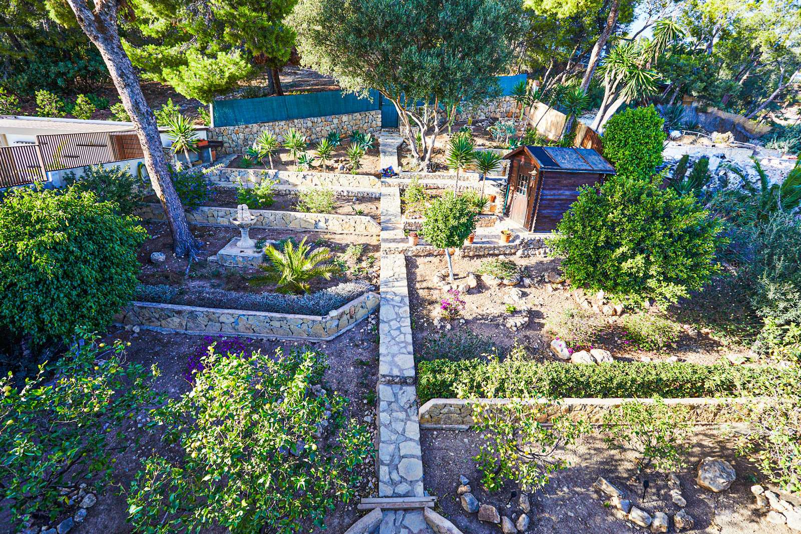 [object Object] - image