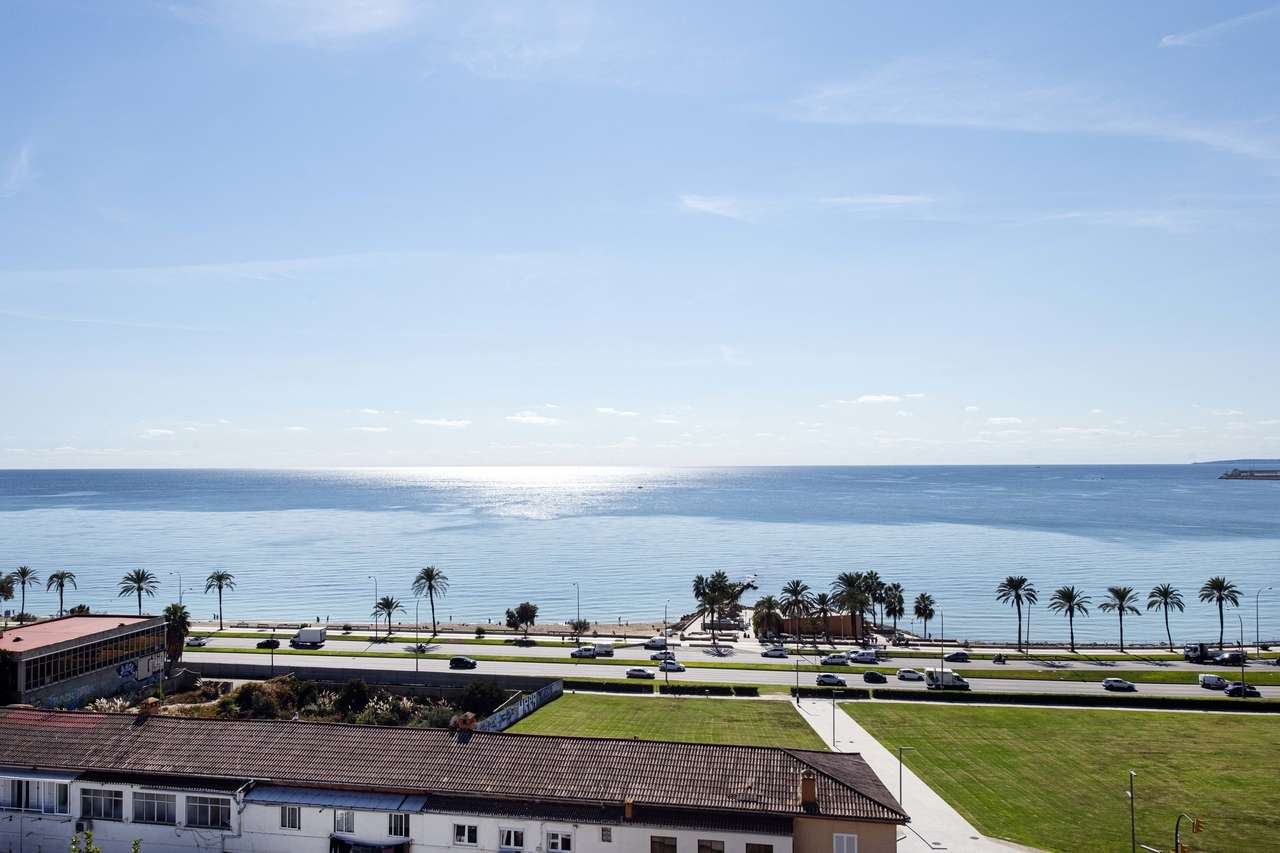 [object Object] - image