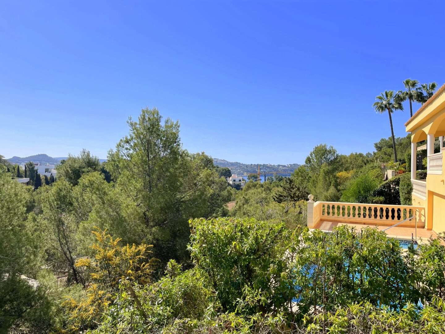 [object Object] - image