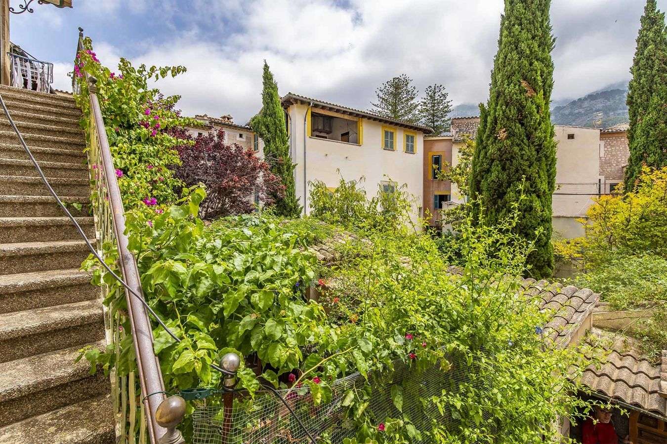 [object Object] - image