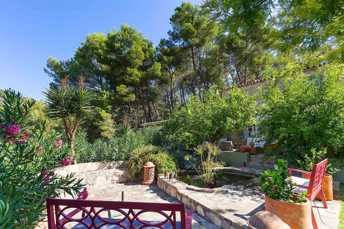 [object Object] - image