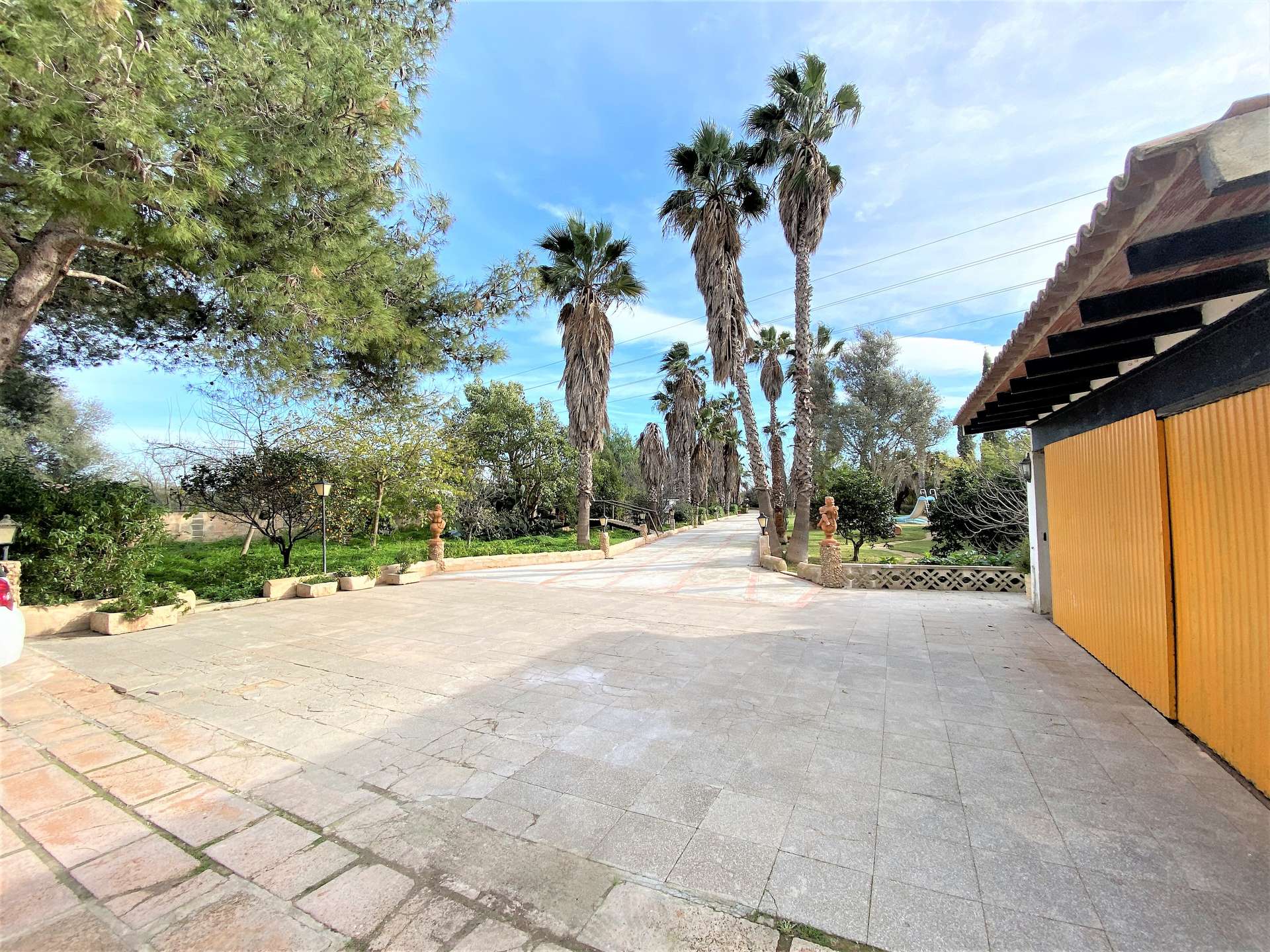 [object Object] - image