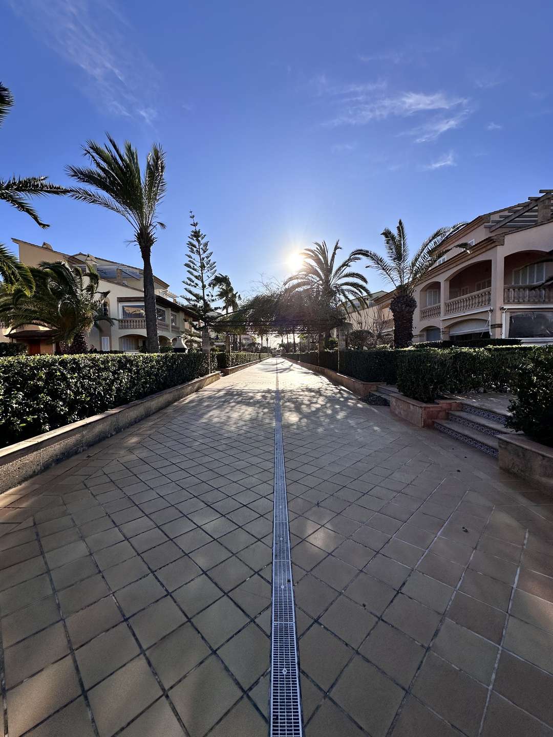 [object Object] - image