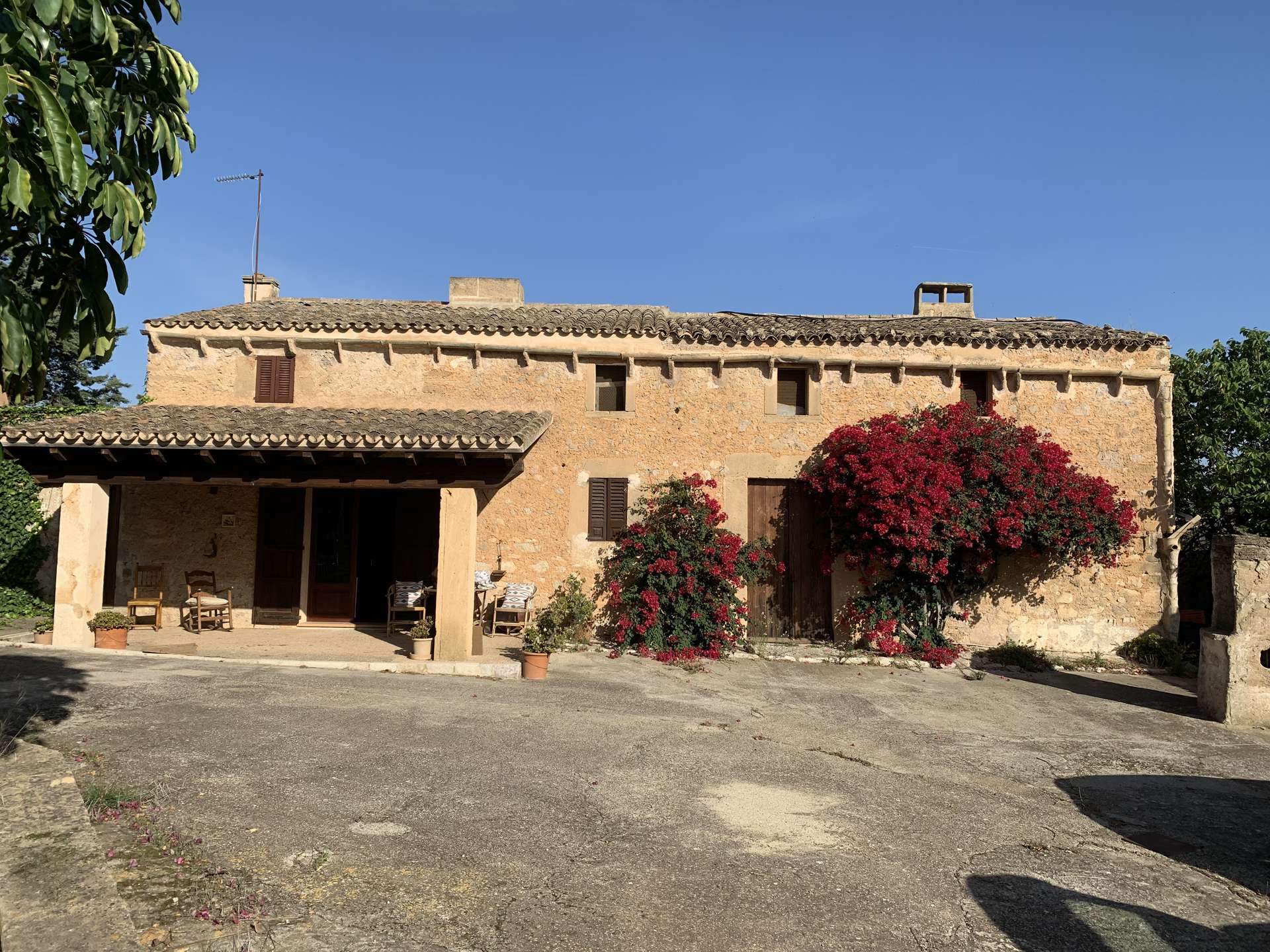 [object Object] - image