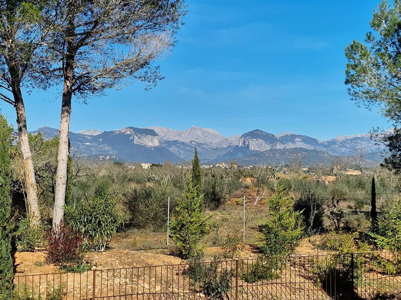 [object Object] - image