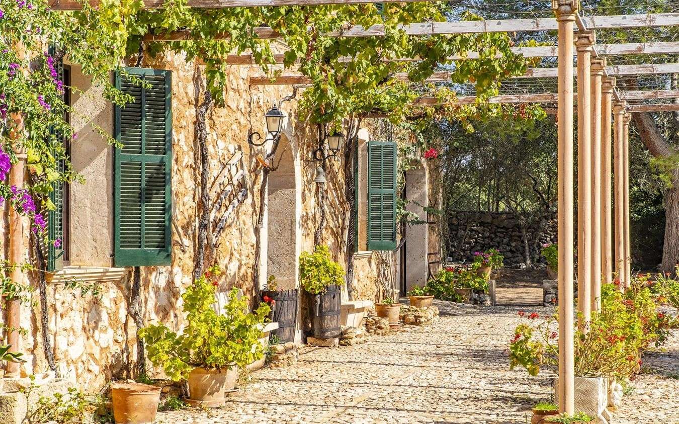 [object Object] - image