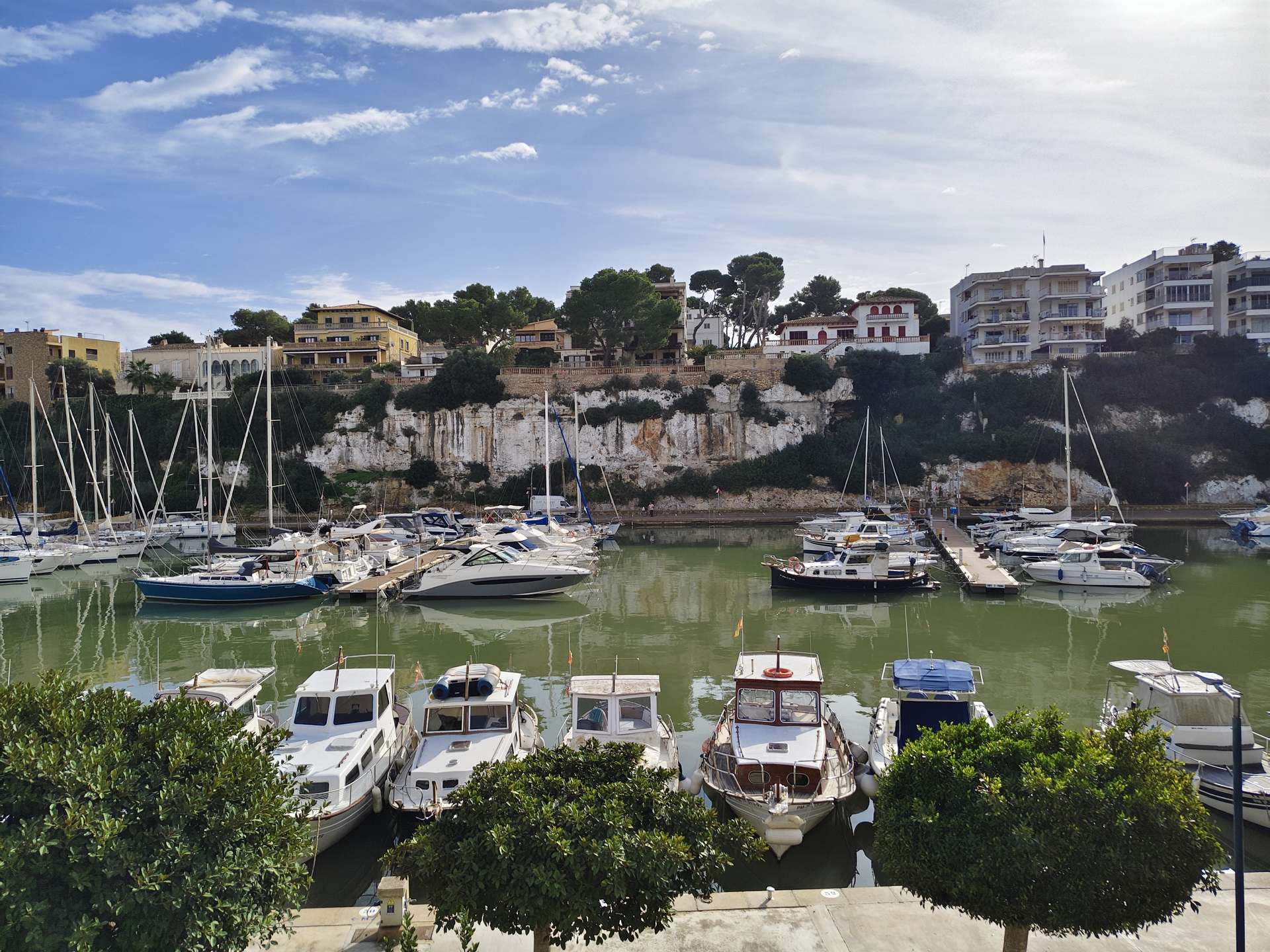 [object Object] - image