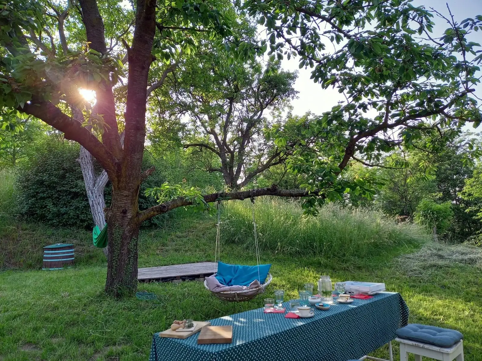 [object Object] - image